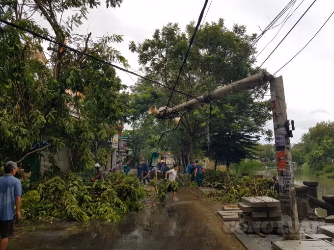 Một cột điện ở đường Phan Chu Trinh bị gió quật gãy.
