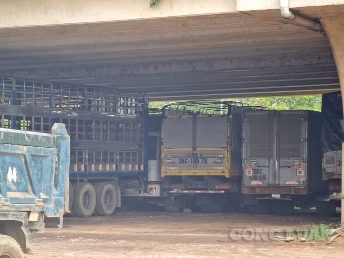 Việc lập các điểm trông giữ xe dưới gầm cầu là hoàn toàn trái các quy định của Nhà nước, đó là chưa kể đến nguy cơ cháy, nổ sẽ ảnh hưởng đến kết cấu dầm cầu, nguy cơ sập cầu.