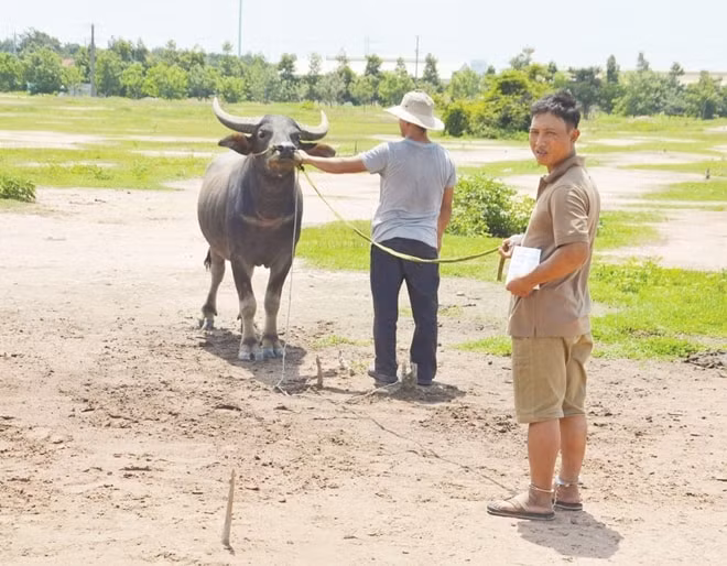 Đối tượng Nguyễn Văn Long cùng tang vật bị lực lượng chức năng thu giữ. Trước đó, Long đã từng bị Công an tỉnh Nghệ An bắt quả tang và bị phạt tù về hành vi này.