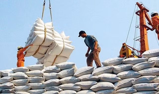 0.000 tấn gạo đầu tiên của Việt Nam được xuất sang EU trong năm 2020 sau hiệp định EVFTA. Ảnh: TL