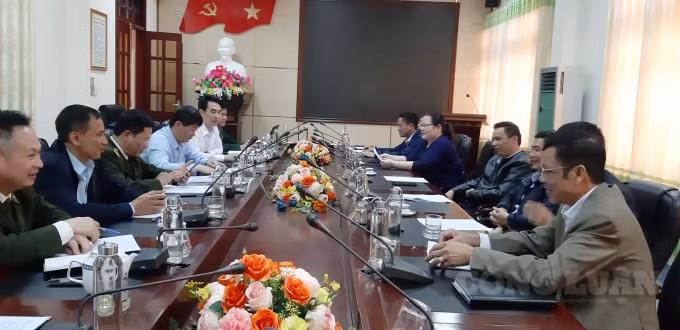 Họp bàn phối kết hợp với các đơn vị liên quan thuộc Tây Yên Tử (Bắc Giang) trong thời gian lễ hội diễn ra.