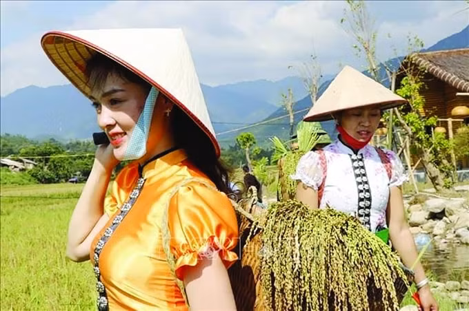 Thu hoạch lúa từ ruộng về chuẩn bị làm cốm. Ảnh: Việt Dũng/ TTXVN