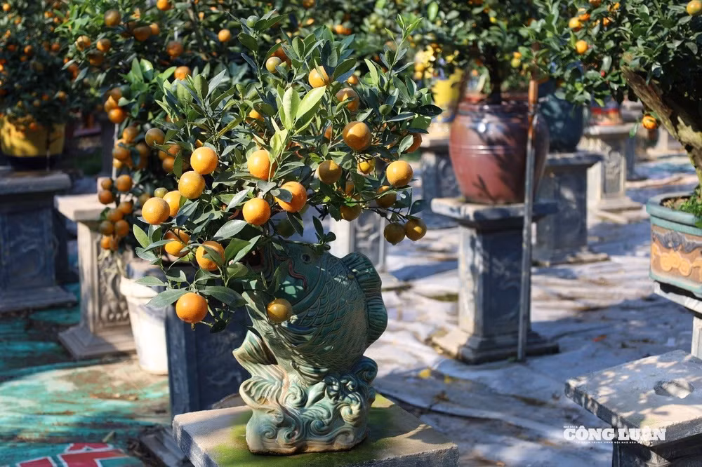 1(2).jpg