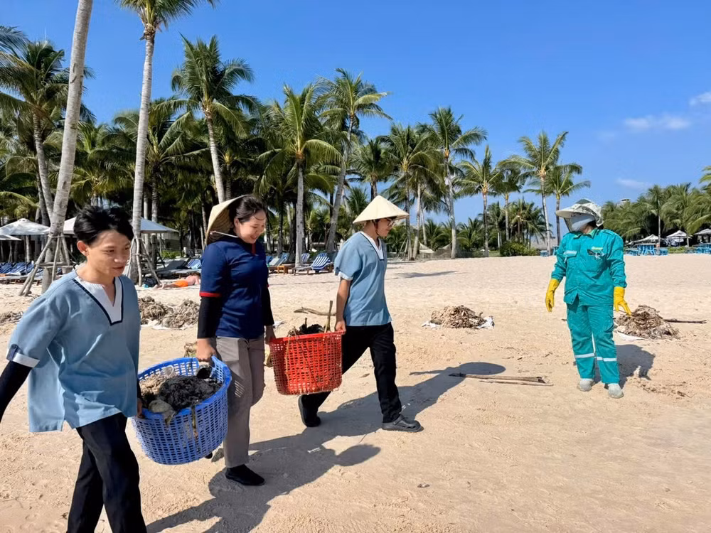 Nhân sự cảnh quan thu gom rác tại bãi biển Phú Quốc