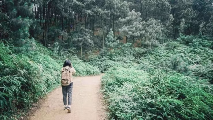 Trekking tại núi Hàm Lợn
