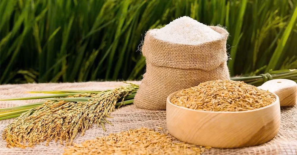 Thị trường lúa gạo tại Đồng bằng sông Cửu Long ngày 28/12 đi ngang và ổn định