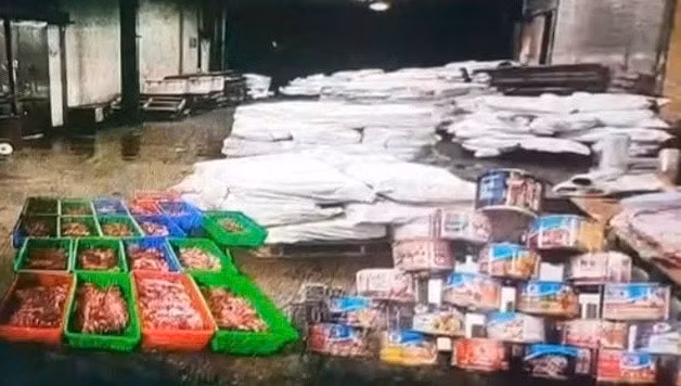 Tang vật trong vụ án thịt lợn nhiễm bệnh tại Hải Phòng