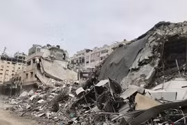 Gaza đối mặt nạn chuột hoành hành do thi thể còn sót dưới đống đổ nát