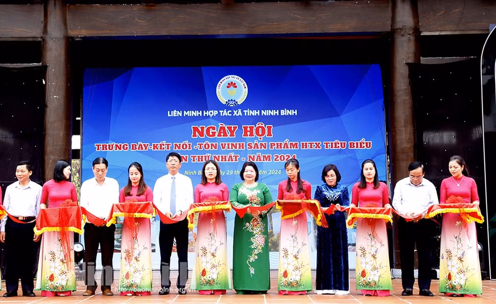 hon 150 san pham dat chat luong ocop tai ngay hoi trung bay ket noi ton vinh cac san pham hop tac xa tieu bieu hinh 1