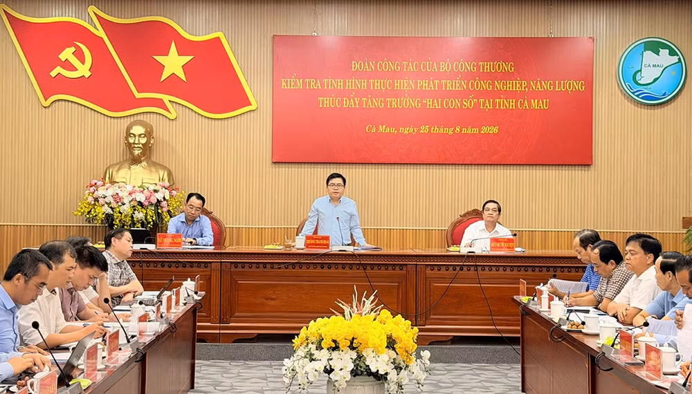Thứ trưởng Bộ Công Thương Trương Thanh Hoài phát biểu kết luận tại buổi làm việc