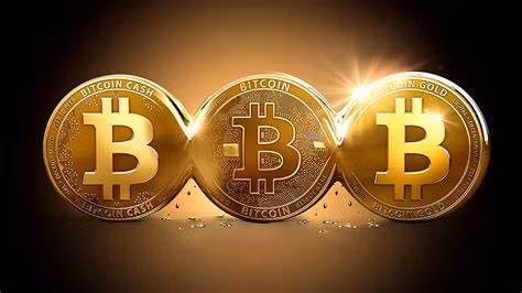Hình minh họa đồng Bitcoin. Ảnh: Blogspot