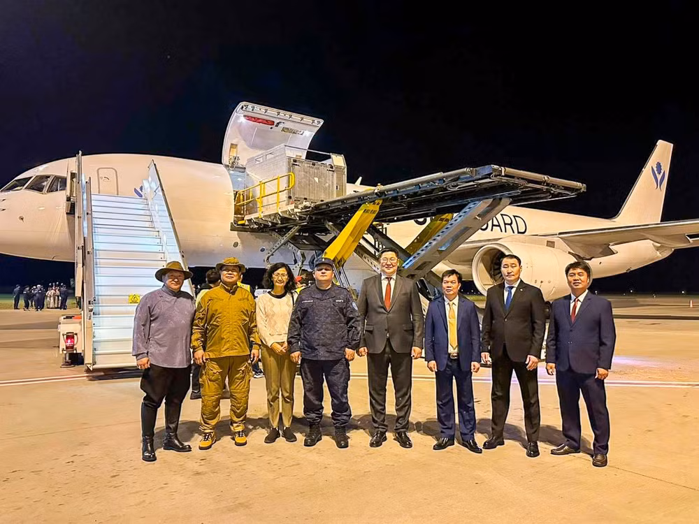 Chuyện chưa kể về những chiến mã đặc biệt trong Đoàn Cảnh sát cơ động kỵ binh ảnh 2