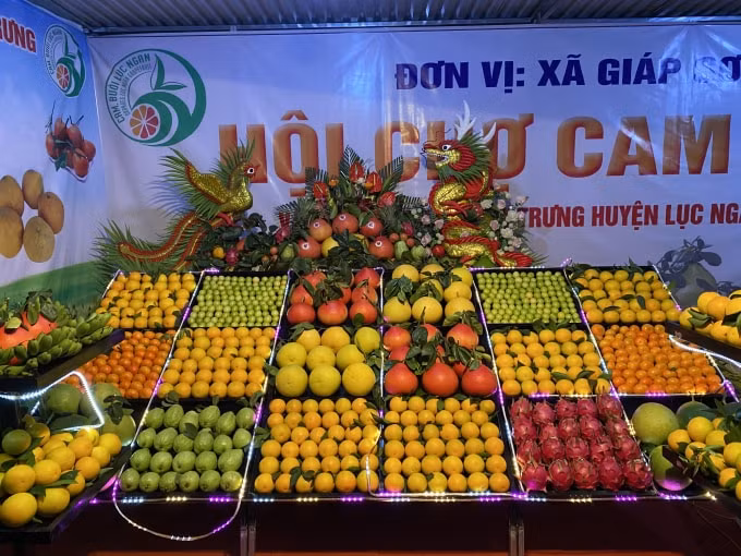 Các sản phẩm đặc trưng của huyện Lục Ngạn. Ảnh: Dương Lâm