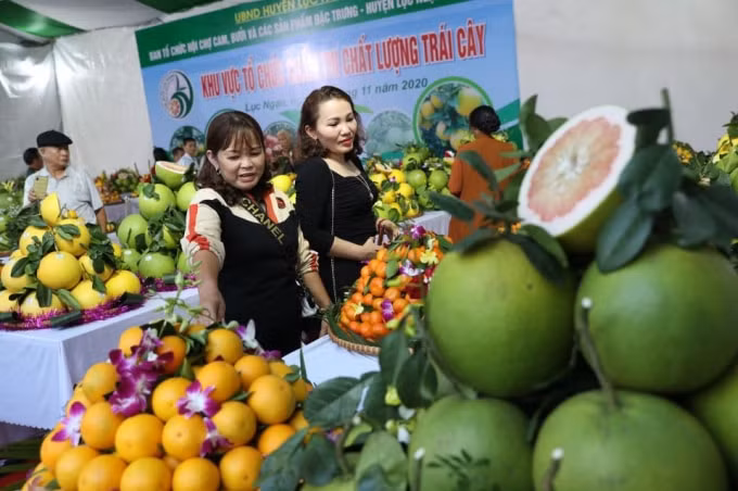 Khu vực trưng bày các sản phẩm dự thi của trái cây chất lượng cao. Ảnh: Dương Lâm
