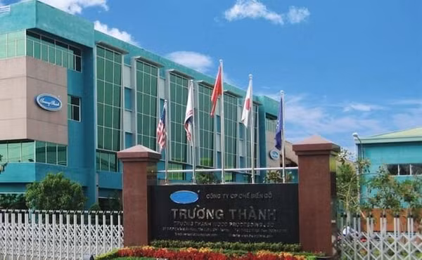 Gỗ Trường Thành phát hành thêm gần 96,6 triệu cổ phiếu niêm yết, từ ngày 20/11/2020